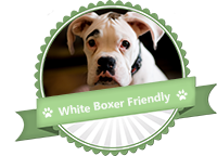 white boxer friendly